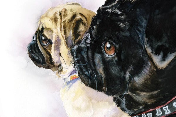 Pugs: Friends together by George Dyachenko