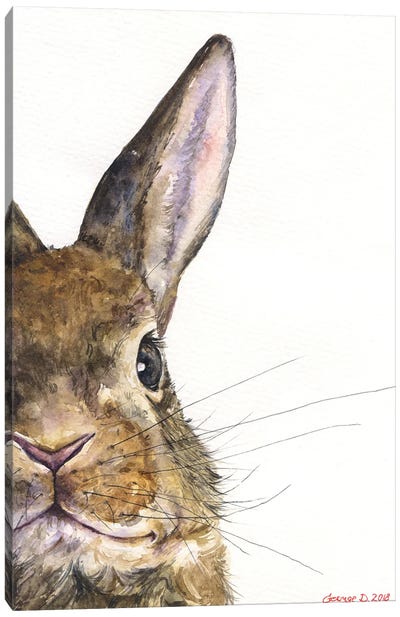 Bunny Canvas Art Print - George Dyachenko