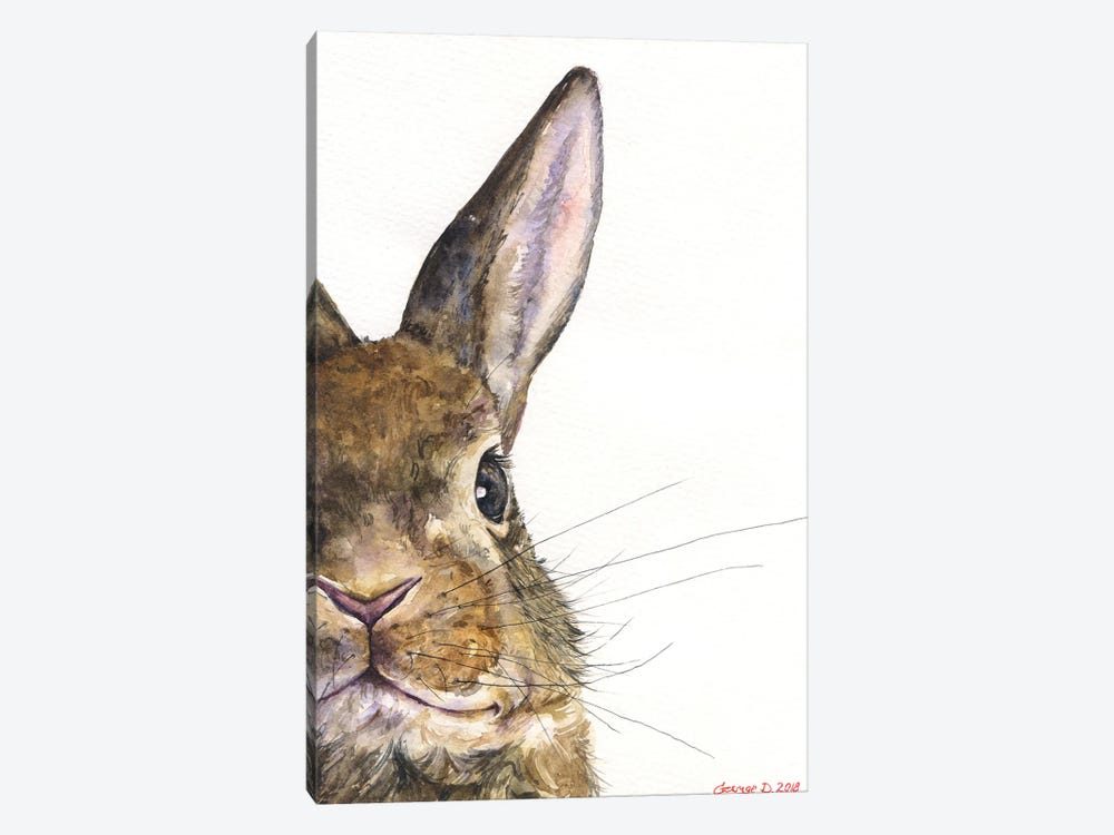 Bunny by George Dyachenko 1-piece Canvas Artwork