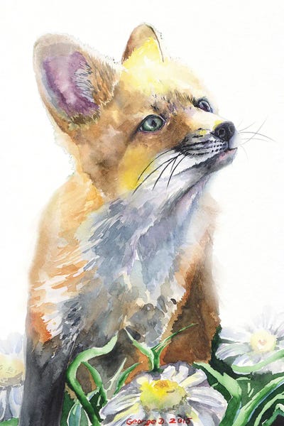 Fox by George Dyachenko framed wall art