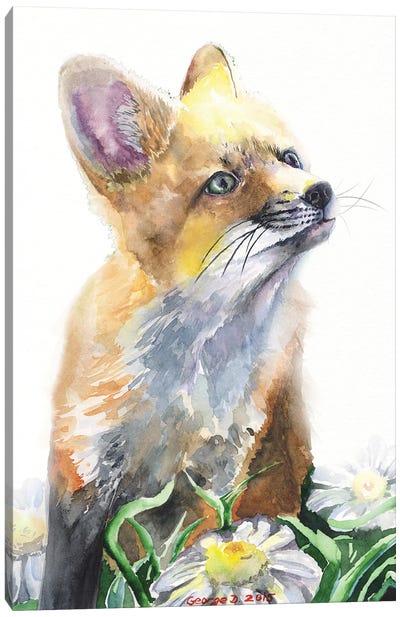 Fox Canvas Art Print - George Dyachenko