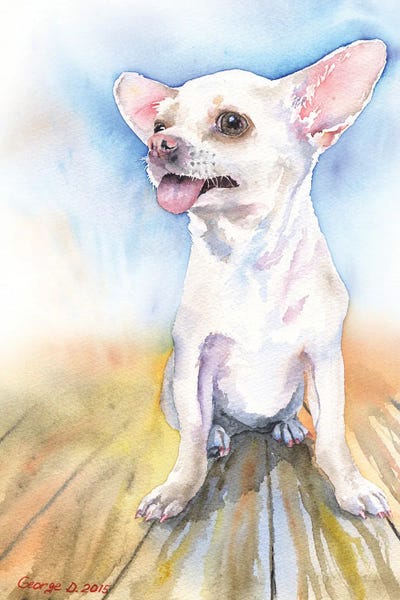 Chihuahua white by George Dyachenko metal wall art