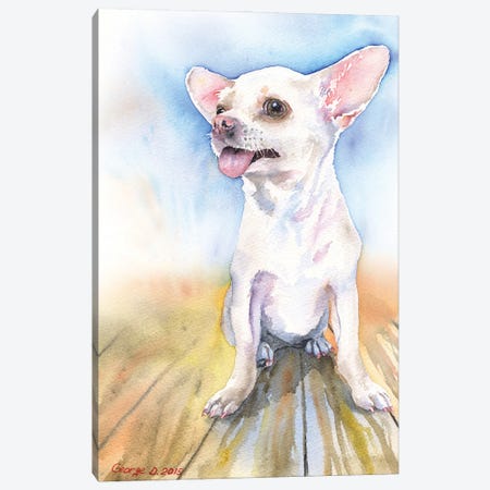 Chihuahua white Canvas Print #GDY279} by George Dyachenko Canvas Art Print