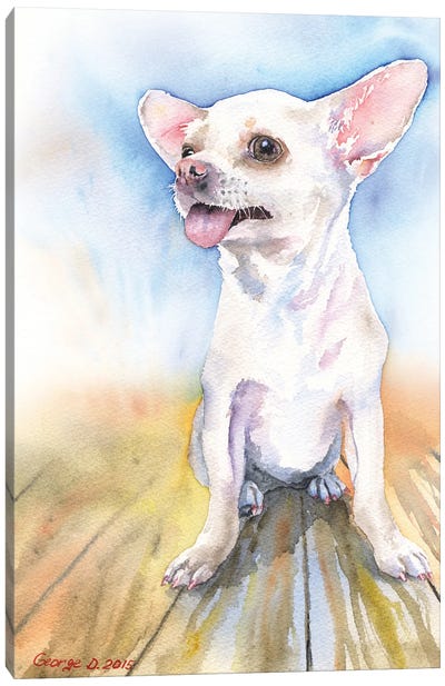 Chihuahua white Canvas Art Print - George Dyachenko