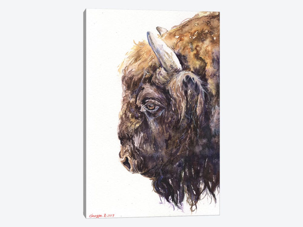 Buffalo by George Dyachenko 1-piece Art Print