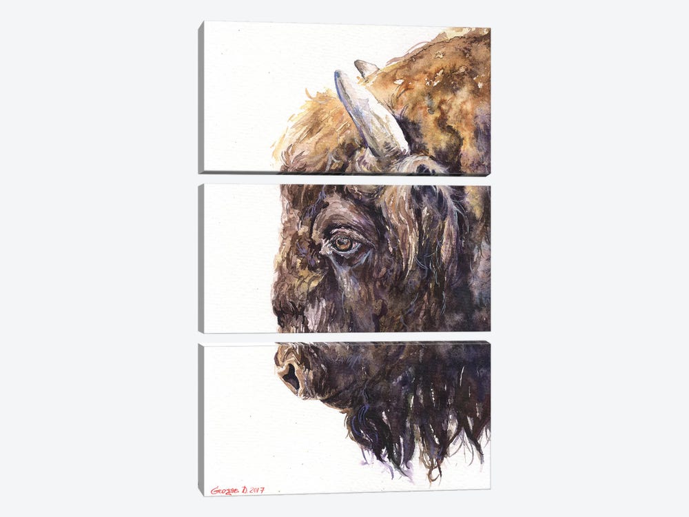 Buffalo by George Dyachenko 3-piece Canvas Art Print