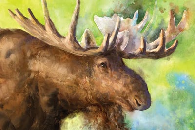 Moose by George Dyachenko framed canvas print