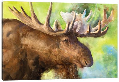 Moose Canvas Art Print - George Dyachenko