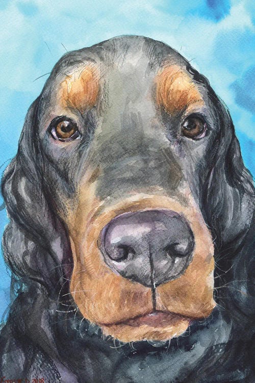 Gordon setter