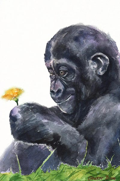 Gorilla baby by George Dyachenko framed wall art