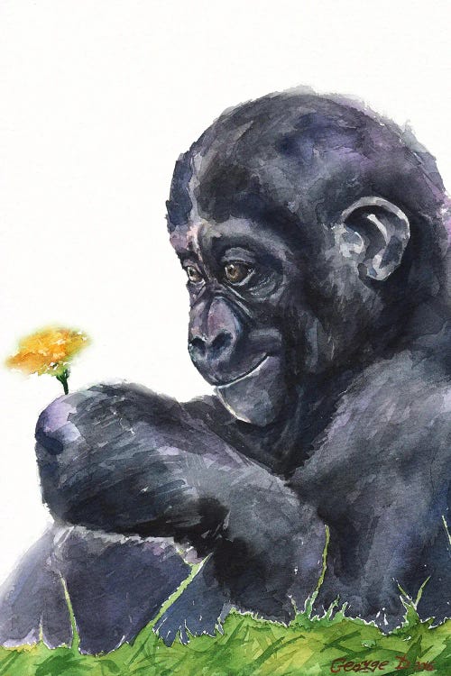 Gorilla baby by George Dyachenko wall art