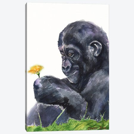 Gorilla baby Canvas Print #GDY282} by George Dyachenko Canvas Wall Art