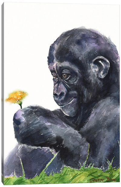 Gorilla baby Canvas Art Print - George Dyachenko