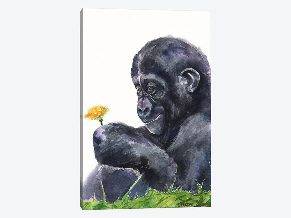 Gorilla baby by George Dyachenko 1-piece Canvas Print