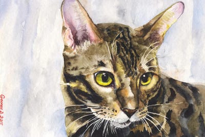 Little Kitty by George Dyachenko canvas print