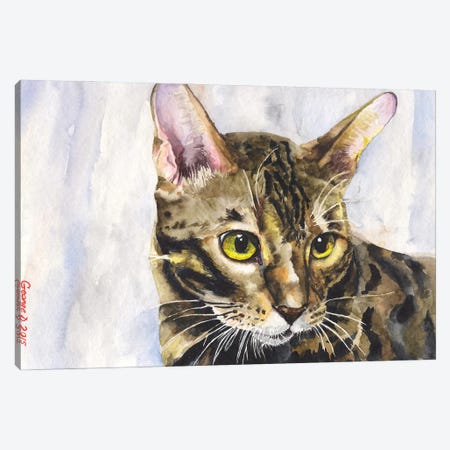Little Kitty Canvas Print #GDY284} by George Dyachenko Canvas Print