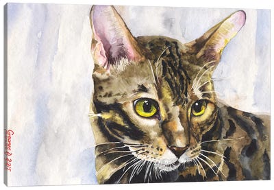 Little Kitty Canvas Art Print - George Dyachenko