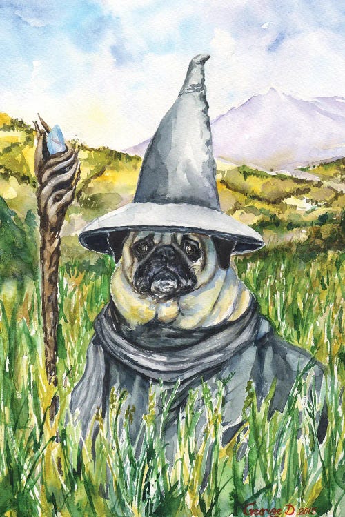 Pug Gandalf