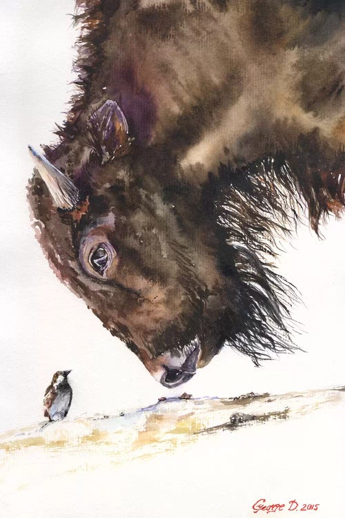 Buffalo And Sparrow by George Dyachenko wall art