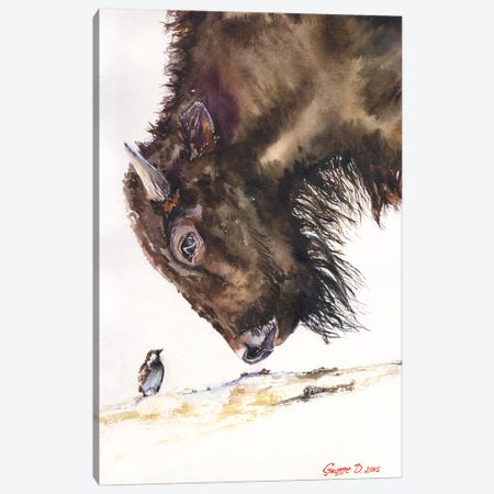 Buffalo And Sparrow Canvas Print #GDY28} by George Dyachenko Canvas Print