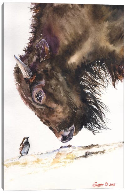 Buffalo And Sparrow Canvas Art Print - Bison & Buffalo Art