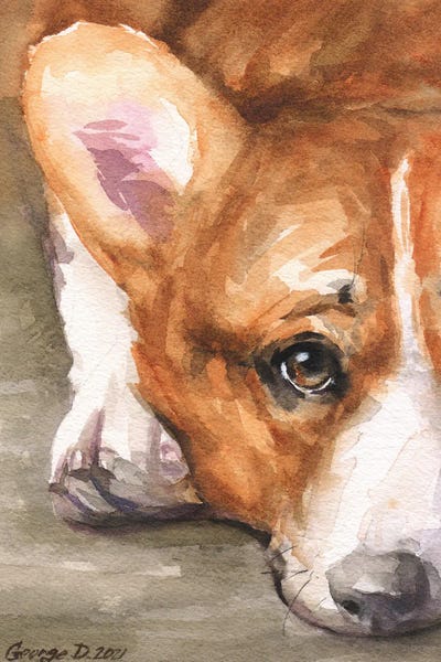 Corgis: Corgi Sight II by George Dyachenko