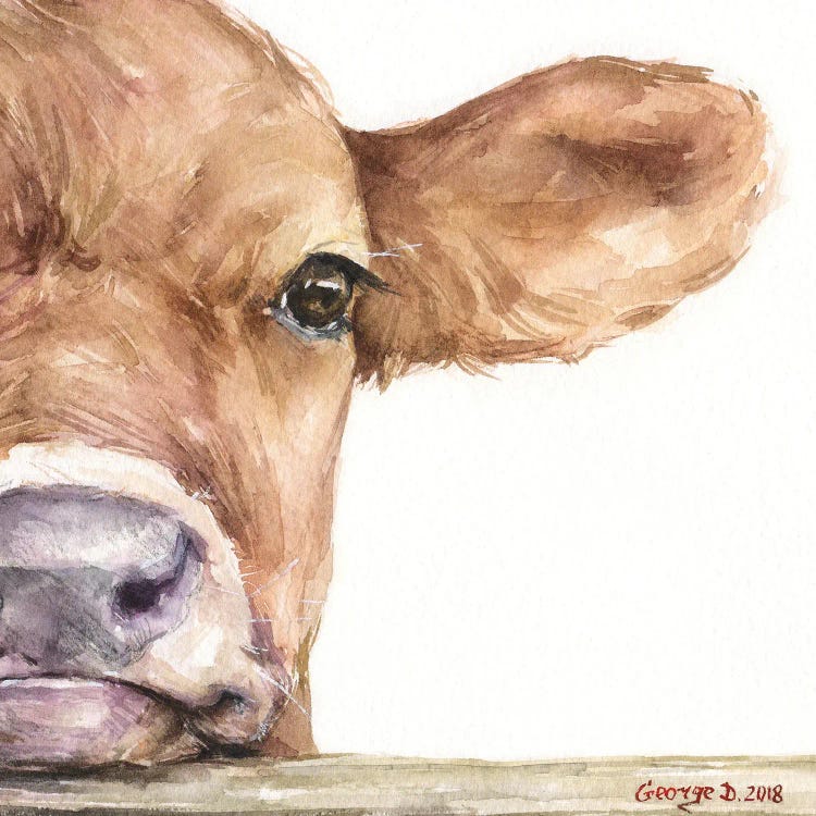 Calf Half Portrait