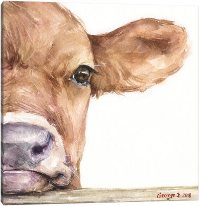 Calf Half Portrait Canvas Art Print - George Dyachenko