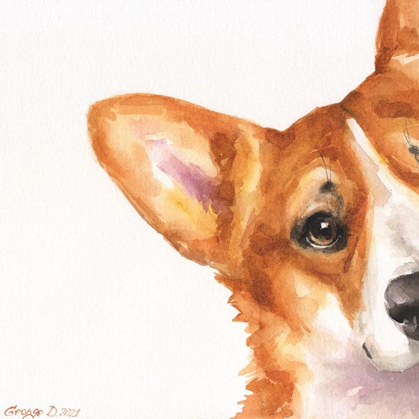 Corgis: Corgi PeekA Boo I by George Dyachenko