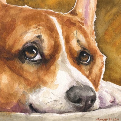 Corgi Sight by George Dyachenko metal wall art