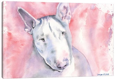 Bull Terrier Canvas Art Print - Bull Terrier Art