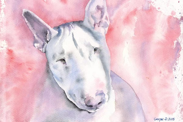 Bull Terriers: Bull Terrier by George Dyachenko