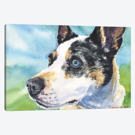Australian Cattle Dog Canvas Print #GDY2} by George Dyachenko Canvas Artwork