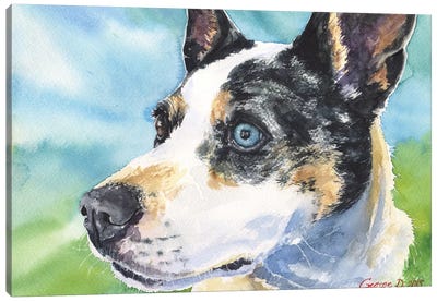 Australian Cattle Dog Canvas Art Print - George Dyachenko