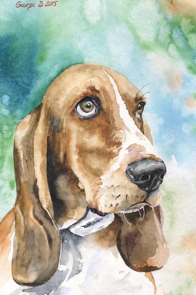 Basset I by George Dyachenko canvas print