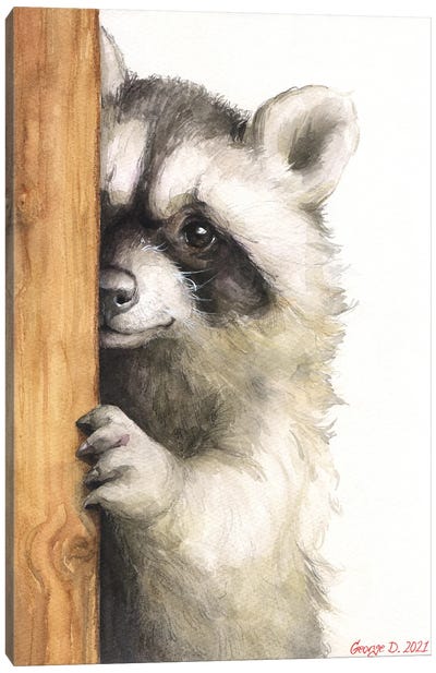 Cute Raccoon Canvas Art Print - George Dyachenko