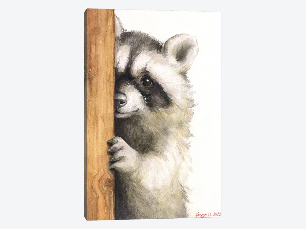 Cute Raccoon by George Dyachenko 1-piece Canvas Print