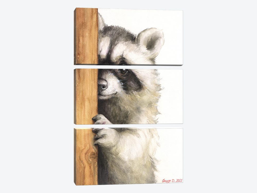 Cute Raccoon by George Dyachenko 3-piece Canvas Art Print