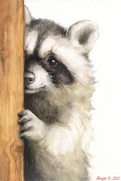 Raccoons: Cute Raccoon by George Dyachenko