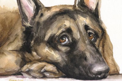 German Shepherd Sight III by George Dyachenko acrylic art print