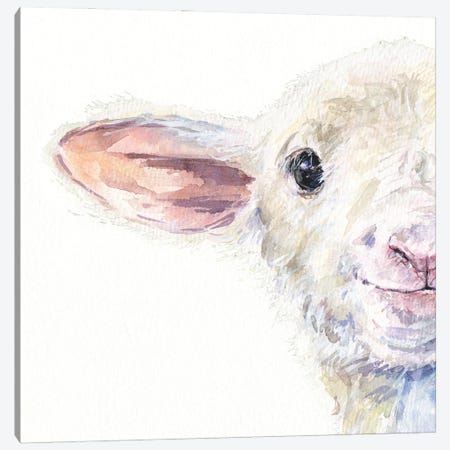 Cute Sheep Half Portrait Canvas Print #GDY305} by George Dyachenko Canvas Art