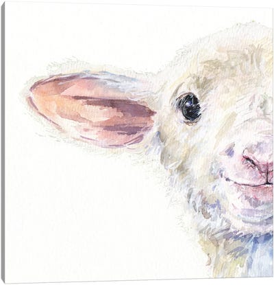 Cute Sheep Half Portrait Canvas Art Print - Sheep Art