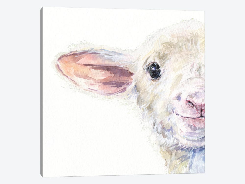Cute Sheep Half Portrait by George Dyachenko 1-piece Canvas Art Print