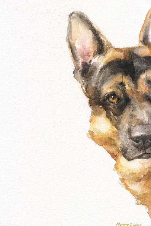 German Shepherd Peek A Boo II