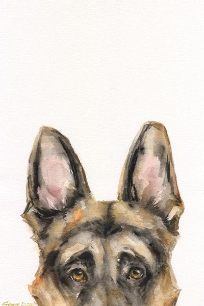 German Shepherd Peek A Boo by George Dyachenko framed canvas print