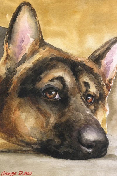 German Shepherds: German Shepherd Sight II by George Dyachenko