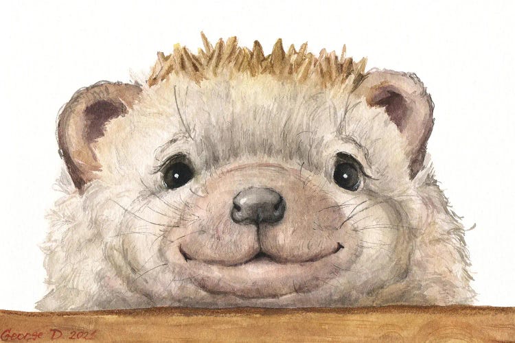 Hedgehog With Wood Fence