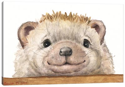 Hedgehog With Wood Fence Canvas Art Print - Hedgehogs