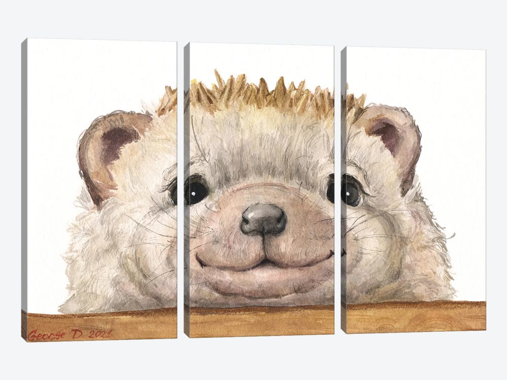 Hedgehog With Wood Fence by George Dyachenko 3-piece Art Print