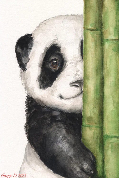Little Panda I by George Dyachenko wall art